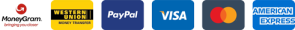 payment-icons-295x30