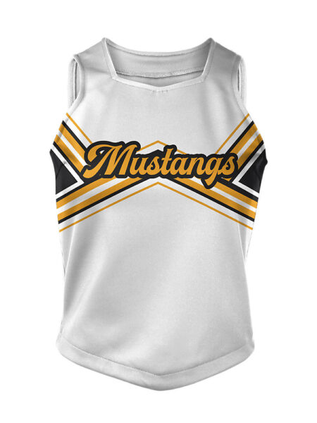 Cheer Modified Shell