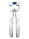 Baseball Pants