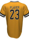 Baseball V Neck Jersey