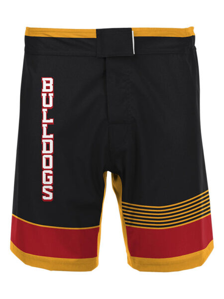 Wrestling Fight Shorts