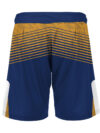 Wrestling Fight Shorts