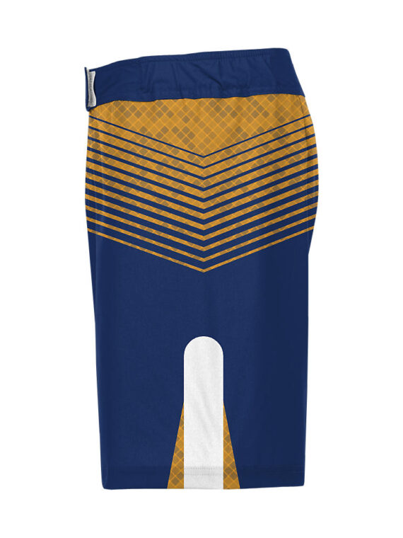 Wrestling Fight Shorts