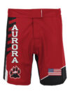 Wrestling Fight Shorts