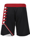 Wrestling Fight Shorts