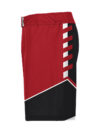 Wrestling Fight Shorts