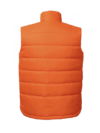 Waterproof and Wind Resistant Puffed Vest
